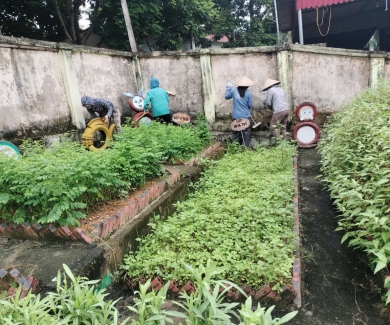 TRƯỜNG MN VIỆT HỒNG LAO ĐỘNG VỆ SINH CHUẨN BỊ NĂM HỌC MỚI 2025-2026